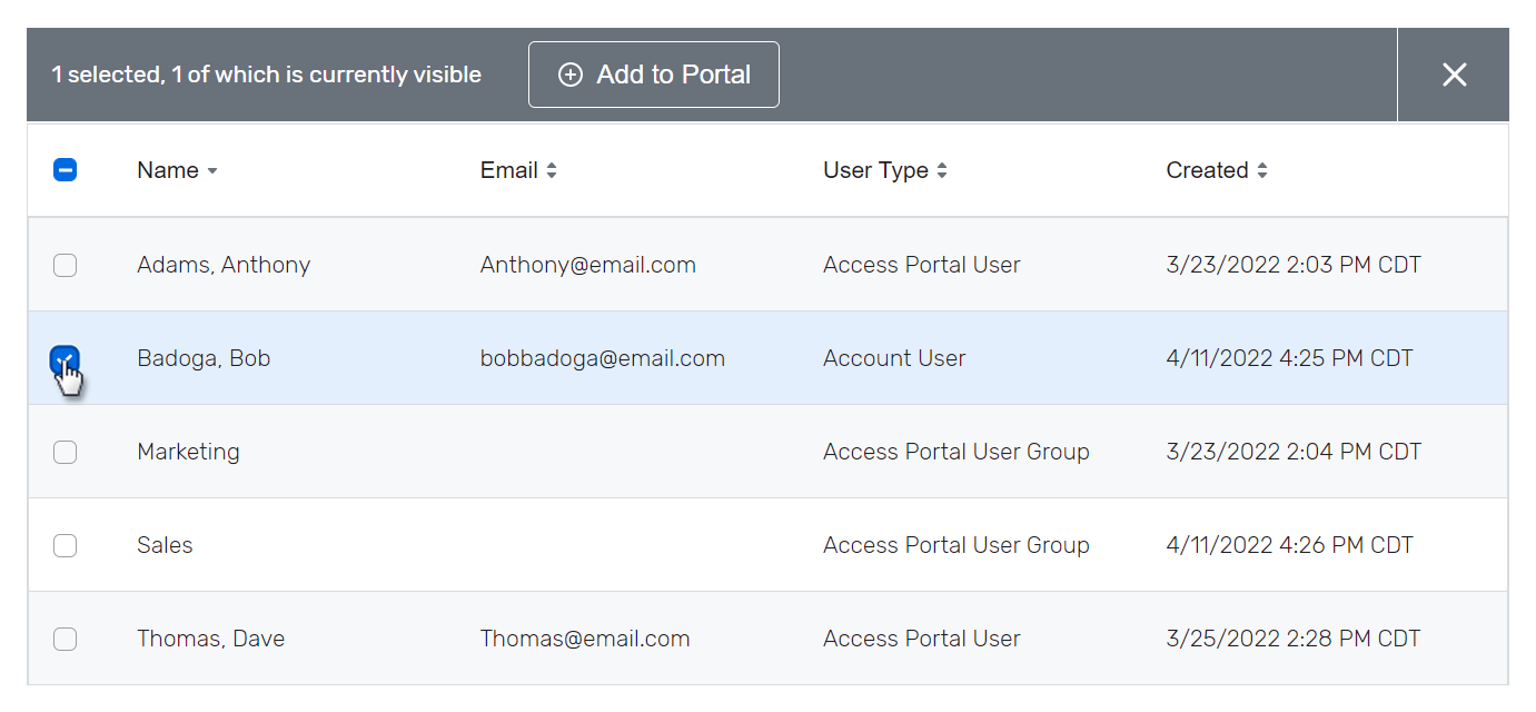 Creating an Access Portal or Public Website